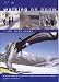 Book Walking on Snow - the First Steps: A Comprehensive Introduction to Classic Cross Country Skiing