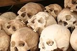 Skulls - 24