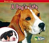 A dog's life