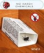 6 Traps Non-Toxic Spider Fighter Traps Pest Trap Really WORKS!