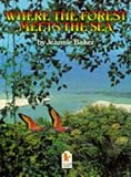 Used : Where the Forest Meets the Sea (Big Books)
