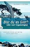 Bist du es, Gott?: Liebe, Leid, Ungerechtigkeit ? Biblische Steine auf dem Weg durch unsere Zeit - Wolfgang J. Bittner