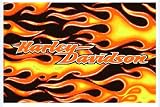 Harley-Davidson® Fresh Logo Throw Rug. 819900