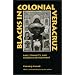 Blacks in Colonial Veracruz: Race, Ethnicity, and Regional Development
