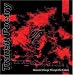 Anklicken zum Vergrößeren: Transit Poetry - Schamanic Passage Through the Embers (Audio CD)