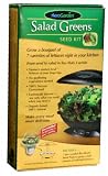 AeroGrow - Kit de graine salade verte