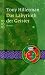 Das Labyrinth der Geister (Taschenbuch)