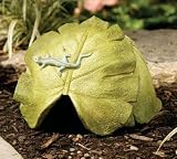 Banana Leaf Toad House