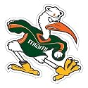 Miami Hurricanes Sebastian Car Magnet