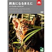 アニマルプラネット 餌食になるまえに パーフェクト・タイミング [DVD]