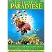 Die letzten Paradiese - Indischer Ozean: Im Paradies der Koralleng�rten