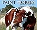 Paint Horses 2015 Wall Calendar