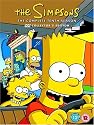 The Simpsons - The Complete Tenth Season Collector's Edition [DVD] [1998]