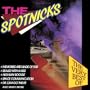 Very Best of the Spotnick