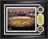 Tampa Bay Rays Framed Tropicana Field 8x10 Photo 24KT Gold & Infield Dirt Coin Photo Mint