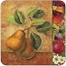 Pimpernel Untersetzer - Autumn Glory - 6er Satz
