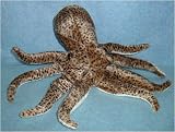 12" Cuttlefish