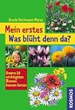 Produkt-Bild: Mein erstes "Was bl&uuml;ht denn da?": Unsere 50 wichtigsten Blumen kennen lernen