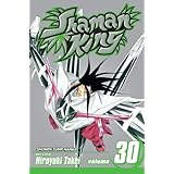 shaman king vol 30