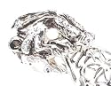 Dragon Claw Silver Tone Pewter Finger Armor Ring Spike