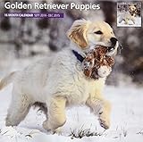 Golden Retriever Puppies 2015 Wall Calendar