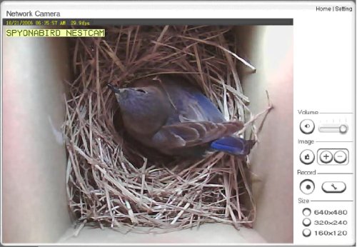 Image #2 of Wi-Fi Birdhouse Camera