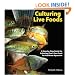 Culturing Live Foods: A Step-By-Step Guide to Producing Food for Your Home Aquarium