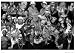 All Products : 24-Inch-by-36-Inch Rap Gods Featuring Lil' Wayne Music Poster