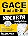 GACE Basic Skills Secrets Study Guide: GACE Test Review for the Georgia Assessments for the Certification of Educators