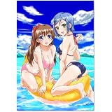 リゾートBOIN3 [DVD]