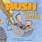 The Lullaby Lady's favorite Lullaby Books