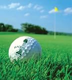 The Ultimate Guide To Golf Learn To Improve Your Game