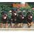 Rottweilers, For the Love of 2009 Deluxe Wall Calendar