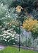 Droll Yankee UNBS Ultimate Pole Support System for Nest Boxes and Bird Houses