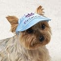 BLUE - SMALL - Royalty Dog Caps