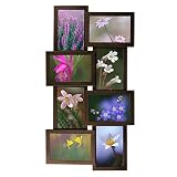Review Linea  / 8-Opening Collage Frame - Java