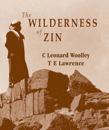 The Wilderness of Zin