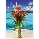 Nearly Natural 1078-OR Triple Bromeliad Liquid Illusion