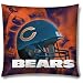Chicago Bears - NFL 18 Photo-Real Pillow - 18 x 18