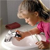 The Black Whale Faucet Fountain