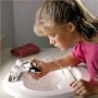 The Black Whale Faucet Fountain