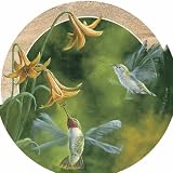 Thirstystone TSFK1 Natural Sandstone Coaster Set Ruby-throated Hummingbirds