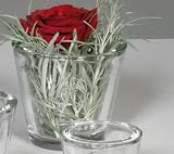 Produkt-Bild: Vase konisch H17 &Oslash;12cm Coni