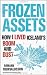 Frozen Assets: How I Lived Iceland's Boom and Bust