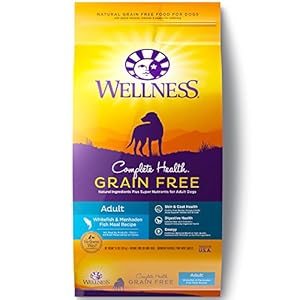 Wellness Complete Health Natural Grain Free Dry Dog Food, Whitefish, 24-Pound Bag