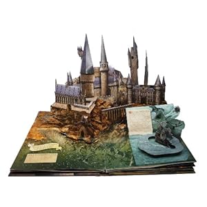 Harry Potter: A Pop-Up Book: Based on the Film Phenomenon