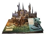 Harry Potter: A Pop-Up Book: Based on the Film Phenomenon