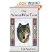 The Animal Wise Tarot