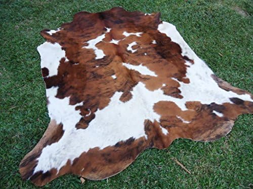 Trindle Brown bbcW4 Cowhide Rug