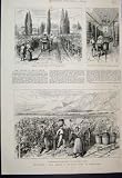 1889 CHILE GRAPE GATHERING MACUL VINEYARD WINE SKETCH